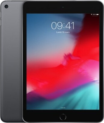 iPad Mini 5 ( 2019) 256GB Space Gray