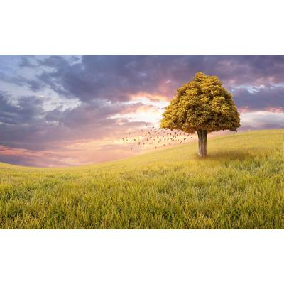 Fototapete PAPERMOON "Baum in Landschaft", bunt, B:2m L:1,49m, Vlies, Tapeten