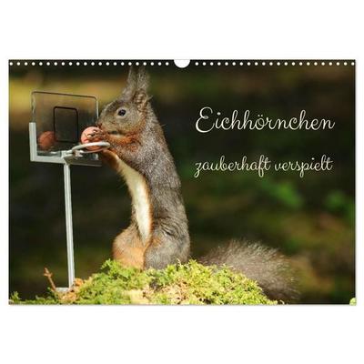 Eichhörnchen - zauberhaft verspielt (Wandkalender 2027 DIN A3 quer), CALVENDO Monatskalender