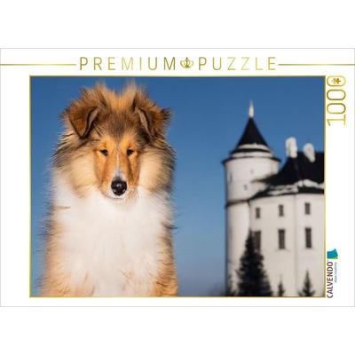 CALVENDO Puzzle Collie Junghund | 1000 Teile Lege-Größe 64x48cm Foto-Puzzle für glückliche Stunden
