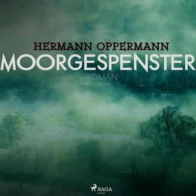Moorgespenster (Ungekürzt) - Hermann Oppermann, Audio, 9788711658741