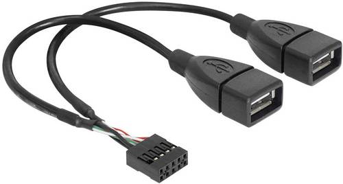 Delock USB-Kabel USB 2.0Pfostenstecker 8pol., USB-A Buchse 0.20m Schwarz UL-zertifiziert 83292