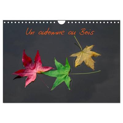 Un automne au Bois (Calendrier mural 2026 DIN A4 vertical), CALVENDO calendrier mensuel