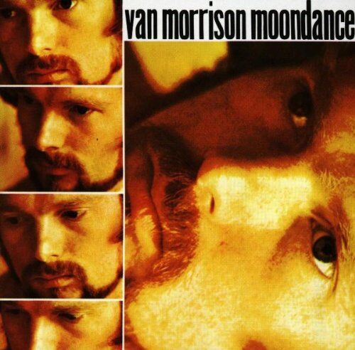 Van Morrison - Moondance - Preis vom 08.10.2026 07:26:42 h