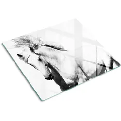 GLASPLATTE 60x52 cm Schimmel