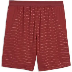 Puma, Herren, Sporthose, FPF Shorts Replica (XL), Grün, Rot