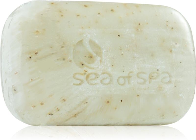 Sea of Spa Dead Sea Treatment savon solide aux algues marines 125 g