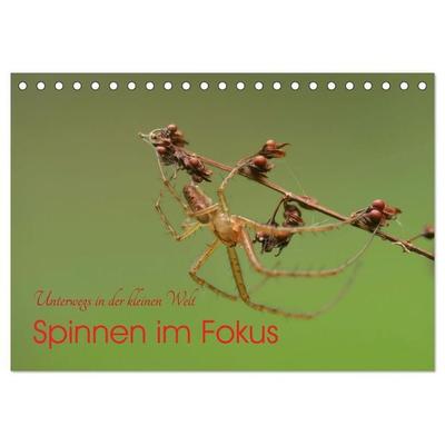 Spinnen im Fokus (Tischkalender 2026 DIN A5 quer), CALVENDO Monatskalender