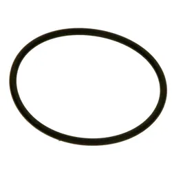 O-Ring Pumpe - 7736700124
