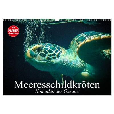 Meeresschildkröten. Nomaden der Ozeane (Wandkalender 2026 DIN A3 quer), CALVENDO Monatskalender