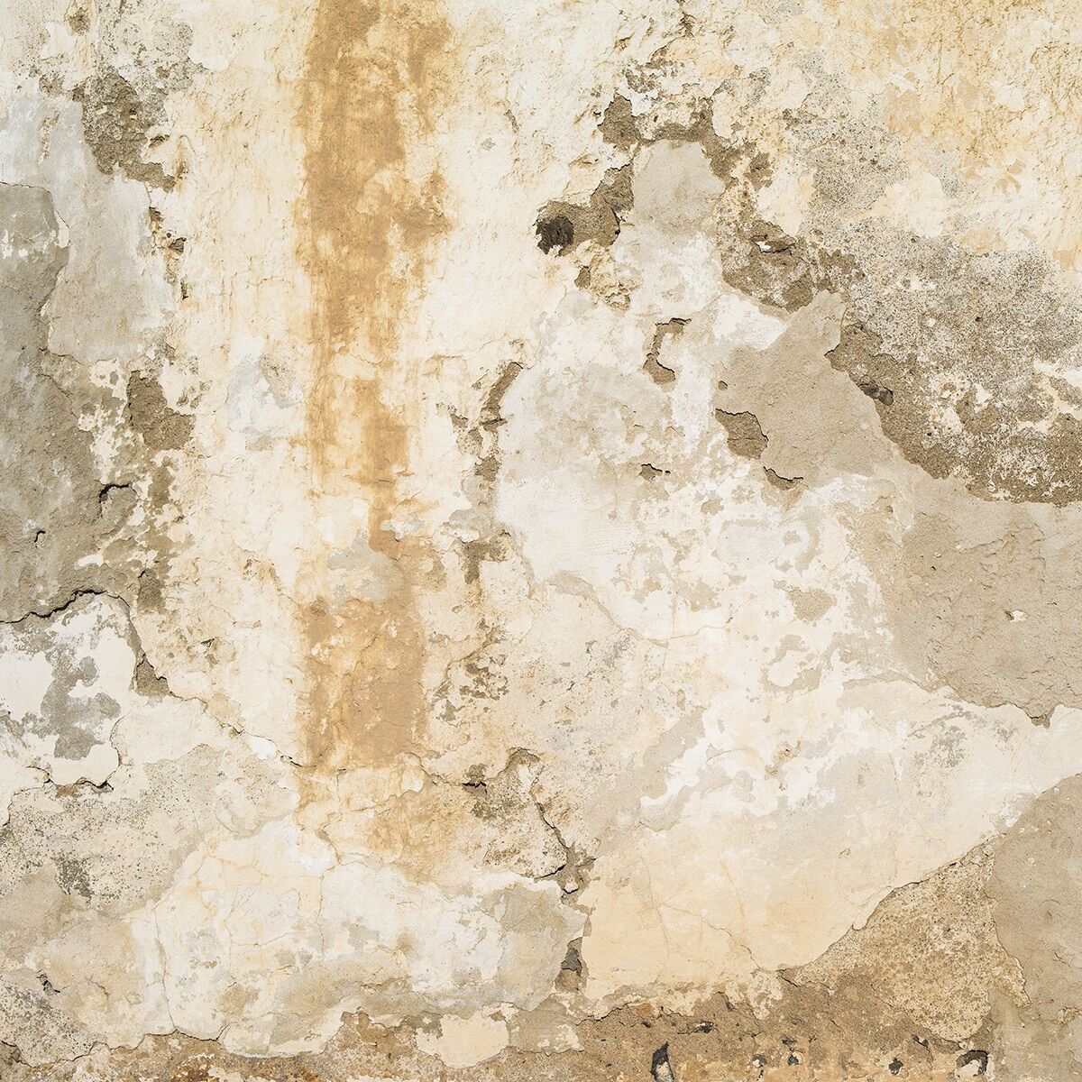 Rasch Fotomural Plaster Wall . Beige