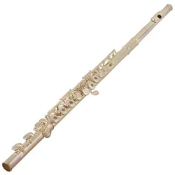 Pearl Flute PF-F665 RE Forza Premium Select Querflöte - Querflöte