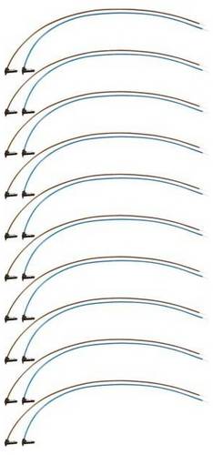 Hager KU9B43GVZ KU9B43GVZ BKE-Spgsabgriff universZ 430mm br/bl Stecker-verdichtet 10Stück Spannungsabgriff 2polig 1St.