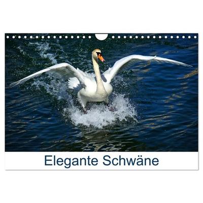 Elegante Schwäne (Wandkalender 2027 DIN A4 quer), CALVENDO Monatskalender