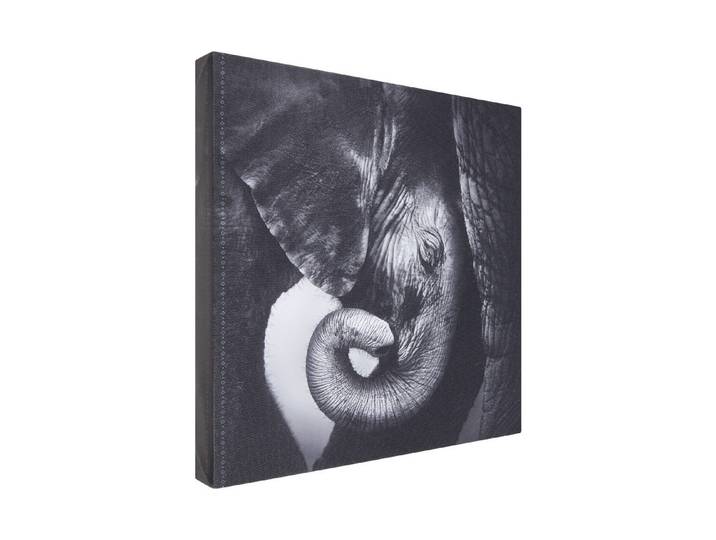 Wandbild 30x30 Baby Elefant