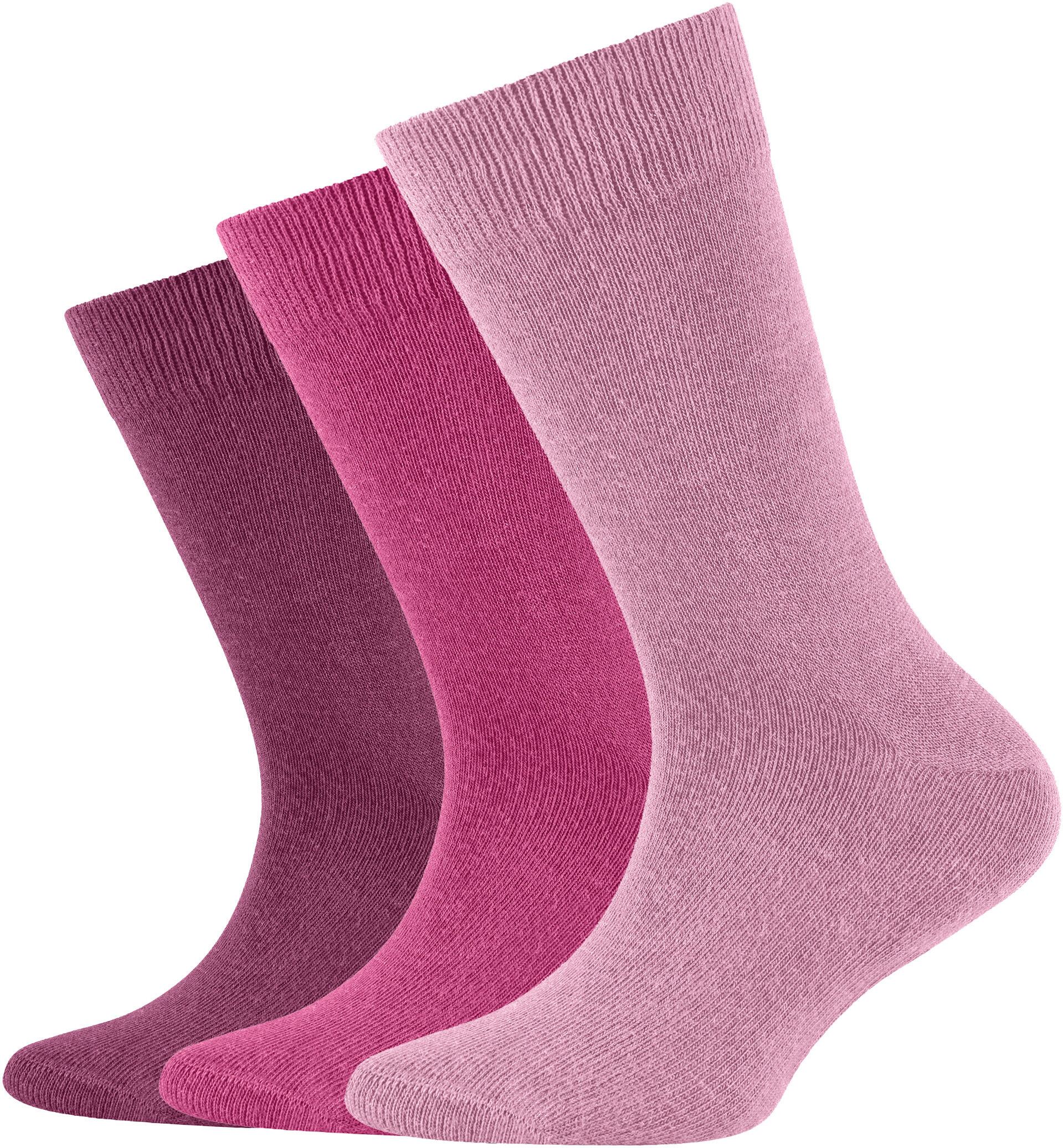 Socken CAMANO "ca-soft", Jungen, Gr. 31-34, lila (beeren, mix), Baumwolle, Elasthan, Polyamid, unifarben, normal, Socken Socken, mit Komfortbund und gepolsterten Zehen-/Fersenbereich beeren, mix 31-34