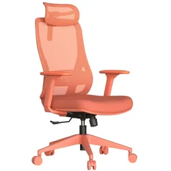 Carmen MASALI Ergonomischer Bürostuhl mit Netzrücken, Kopfstütze, Lordosenstütze und 3D-Armlehnen – Orange
