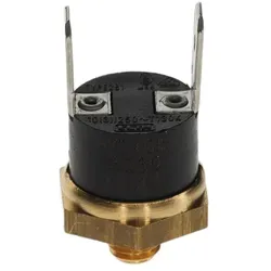 Temperaturbegrenzer - 8738901741