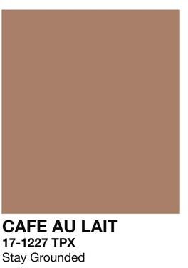 Uplift Essentials Caffeinated Narrative Canvas High Definition Skeleton Line Art Architectural Art style 3 15.7 In X 23.6 In
