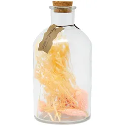 Goldbach Trockenblumen in Flasche mit Korkverschluss Apricot 20  x Ø 10 cm