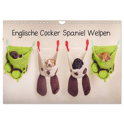 Englische Cocker Spaniel Welpen (Wandkalender 2026 DIN A4 quer), CALVENDO Monatskalender