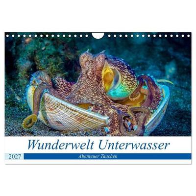 Wunderwelt Unterwasser (Wandkalender 2027 DIN A4 quer), CALVENDO Monatskalender