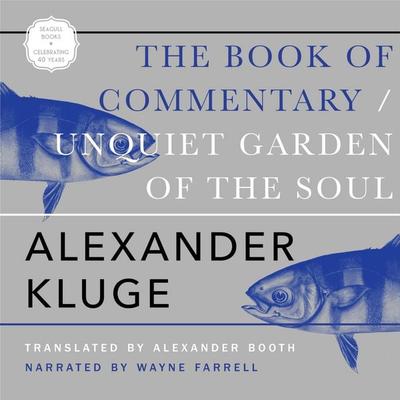 The Book of Commentary - Alexander Kluge, Audio, 9781803095332