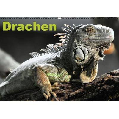 Drachen / Geburtstagskalender (Wandkalender immerwährend DIN A2 quer)