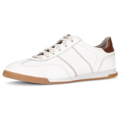 Sneaker PIUS GABOR, Herren, Gr. 9 (43), Textil, sanftes weiß, cognac, Nappaleder, Schuhe Sneaker, Freizeitschuh, Komfortschuh, Schnürschuh mit Kontrastnähten, G-Weite