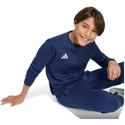 Adidas, Jungen, Sportshirt, Entrada Sweatshirt für Kinder, marineblau (116), Blau, 116