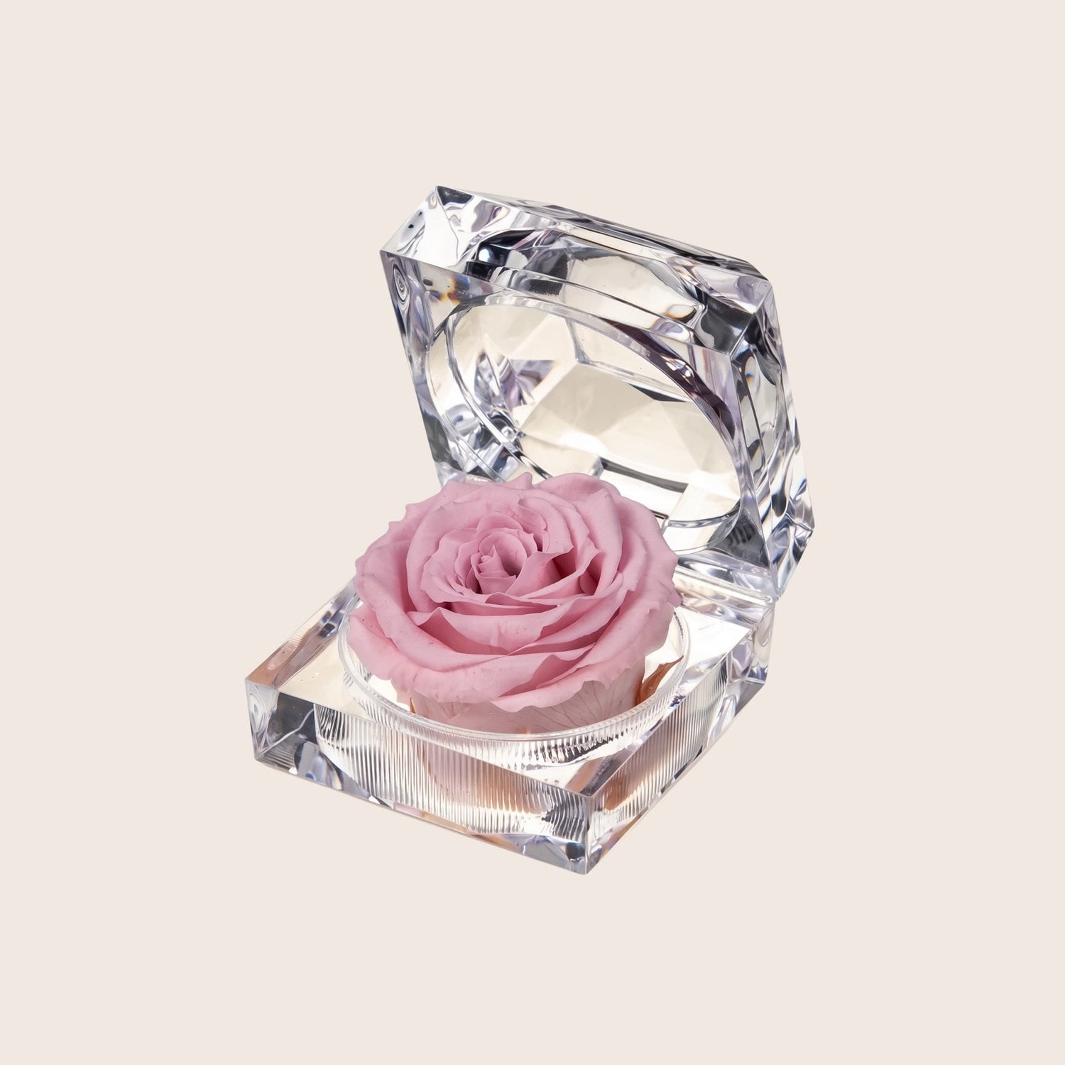 Charle Roses Crystal Rose Mini Houdbare Roos Powder Pink Lichtroze in Transparant Cadeaudoosje