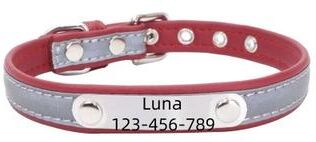 Uplift Essentials Signature Series Custom Engraved Reflective Pet Collar red m
