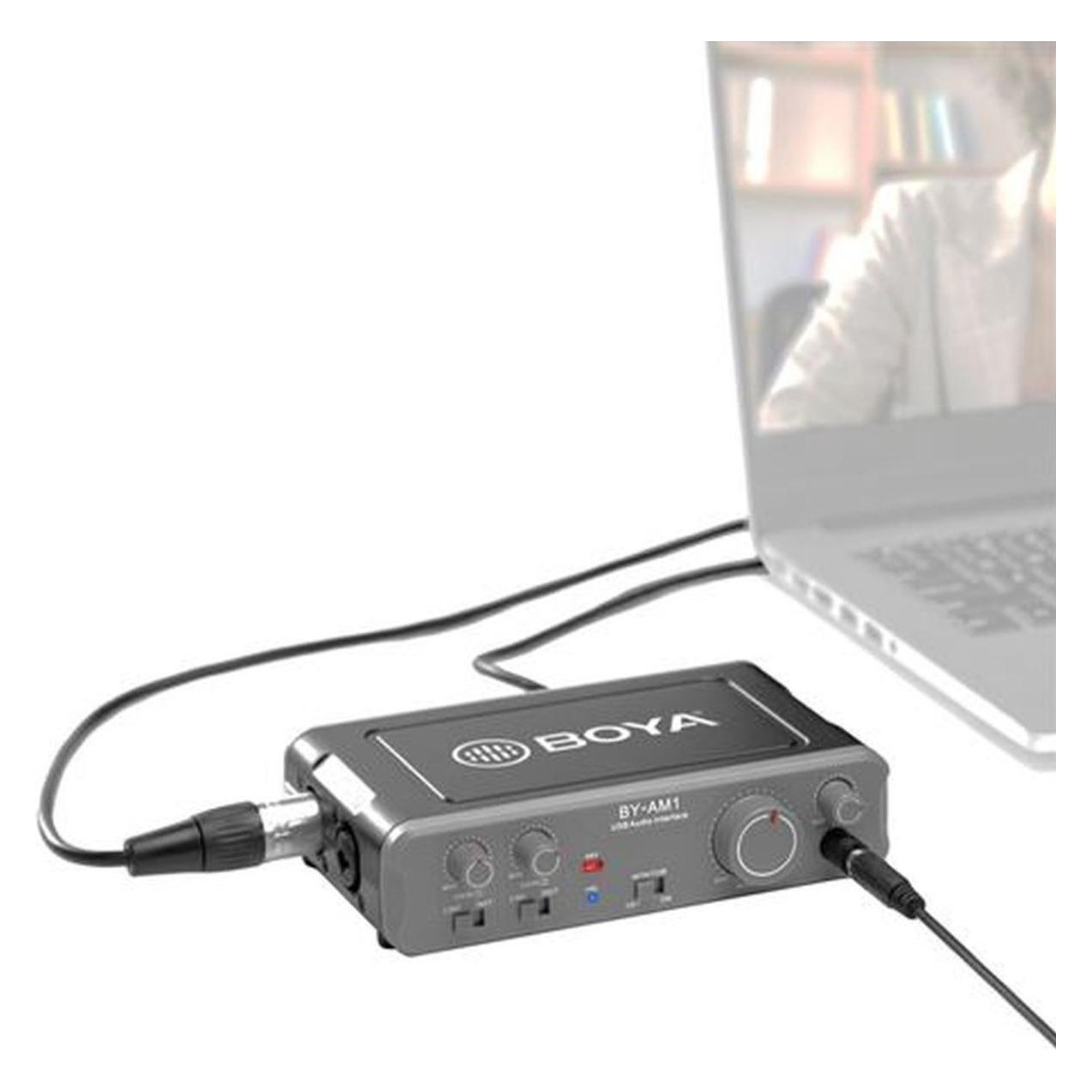 Boya Dual-Channel Audio Interface (BY-AM1)