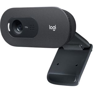Logitech Webcam C505E HD 960-001372, USB-A, mit Mikrofon, HD (720p)