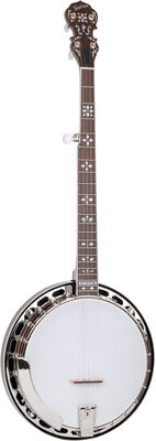 Gold Tone BG-150F Banjo Vintage Brown