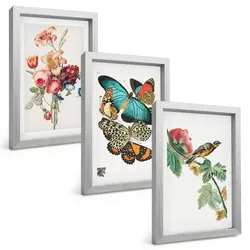BILDER SET 3er Set - 20x30 cm Silberner Rahmen - Blumen, Schmetterlinge, Vögel, Pastellfarben