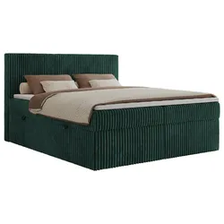 BOXBETT TILIANO 200/200 - Dunkelgrün Cord - H4