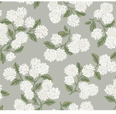 Rifle Paper Co.Hydrangea Grey Wallpaper