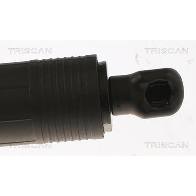 TRISCAN Gasfeder, Koffer-/Laderaum 871081205 für Tesla
