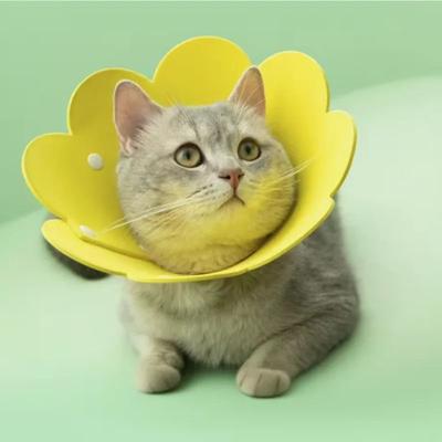 Inspired Finds BloomGuard Flower Recovery Collar For Cats, Dogs & Kittens s