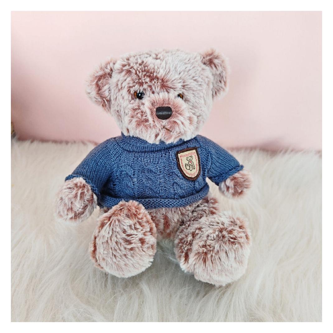 Lean Toys Lean Plüsch Maskottchen Huggable Teddybär Grau Blau Pullover 21Cm (21 cm) (67992543)