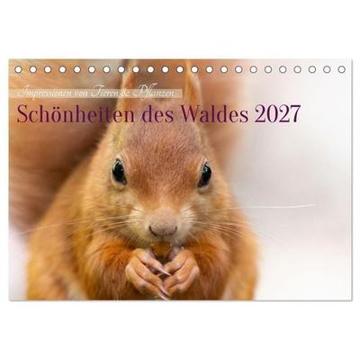 Schönheiten des Waldes (Tischkalender 2027 DIN A5 quer), CALVENDO Monatskalender