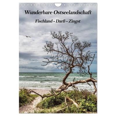 Wunderbare Ostseelandschaft Fischland-Darß-Zingst (Wandkalender 2026 DIN A4 hoch), CALVENDO Monatskalender
