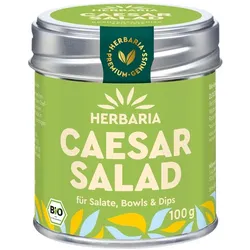 Caesar Salad - Gewürzzubereitung SD-Dose 100g