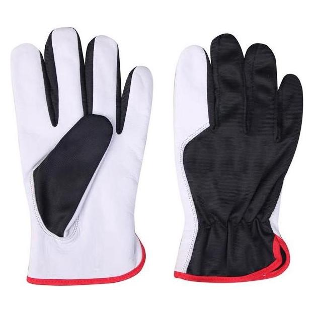 Forte Palm Goatskin Grain Leather Winter Glov (XXL) (39976034)
