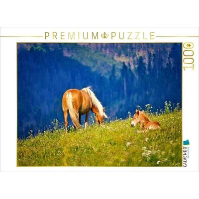 CALVENDO Puzzle auf der Bergwiese | 1000 Teile Lege-Größe 64x48cm Foto-Puzzle für glückliche Stunden, Sonstige von , Calvendo Puzzle