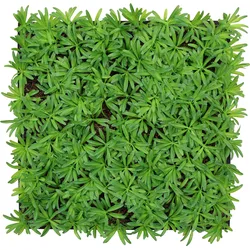 Wandpaneel MODULAR WALL (LB 52x52 cm) - LB 52x52 cm