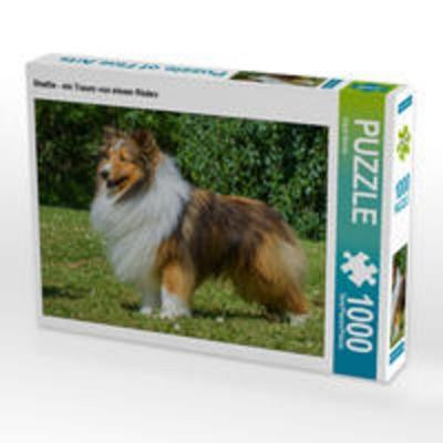 CALVENDO Puzzle Sheltie - ein Traum von einem Rüden 1000 Teile Lege-Größe 64 x 48 cm Foto-Puzzle Bild von Sigrid Starick