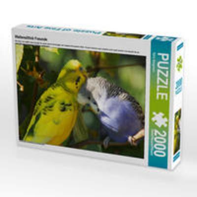 CALVENDO Puzzle Wellensittich Freunde 2000 Teile Puzzle quer | 2000 Teile Lege-Größe 90 × 67 cm Foto-Puzzle für glückliche Stunden