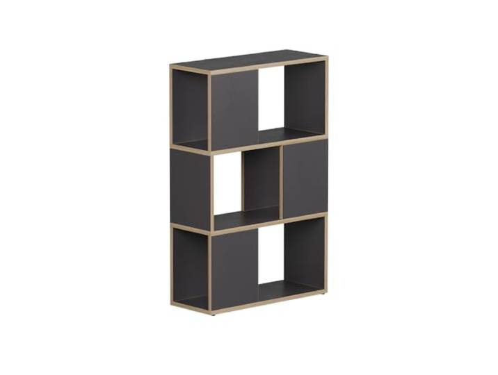 Vicco Raumteiler Eneos, Anthrazit/Eiche, 60 x 94 cm als freistehendes Regal zur flexiblen Raumaufteilung einsetzbar